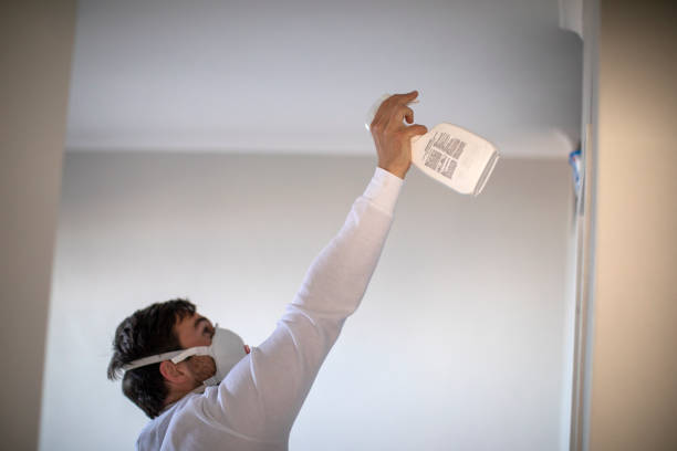 Best Mold Remediation  in Folsom, CA