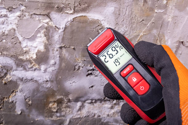 Best Mold Testing  in Folsom, CA