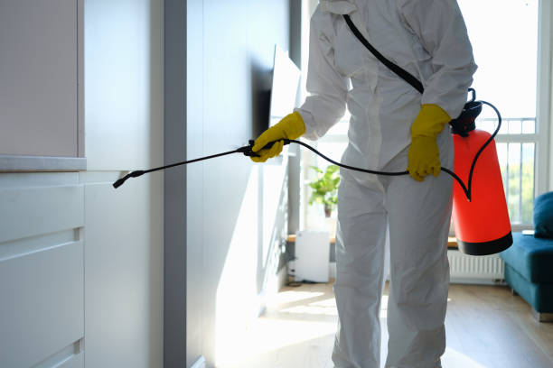 Best Certified Mold Removal  in Folsom, CA