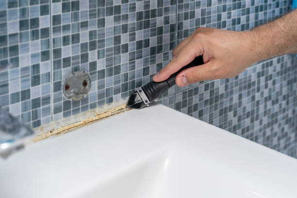 Best Emergency Mold Removal  in Folsom, CA