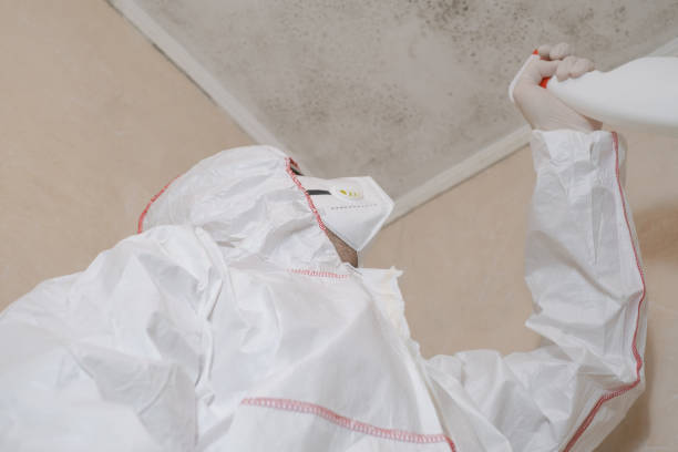 Best Certified Mold Removal  in Folsom, CA