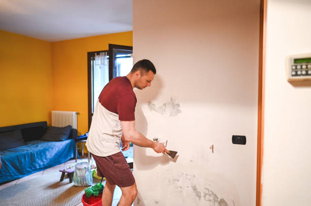Best Local Mold Removal Service  in Folsom, CA